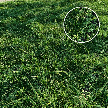 Meadow's Abundance: Lush and Versatile Grass 3D model image 1 