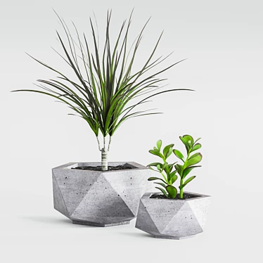 Stylish Pentagon Cache-Pot 3D model image 1 