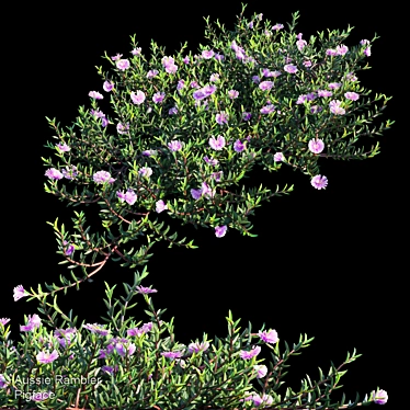 Lush Aussie Rambler: Vibrant Groundcover 3D model image 1 