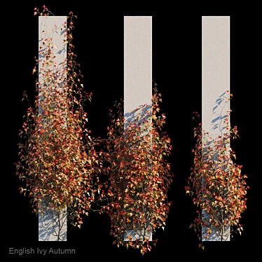 Autumn Bliss English Ivy 3D model image 1 