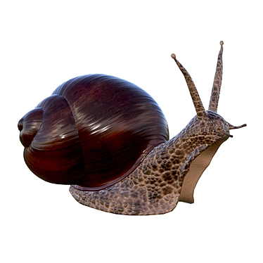 Mini Snail Figurine for Collectors 3D model image 1 