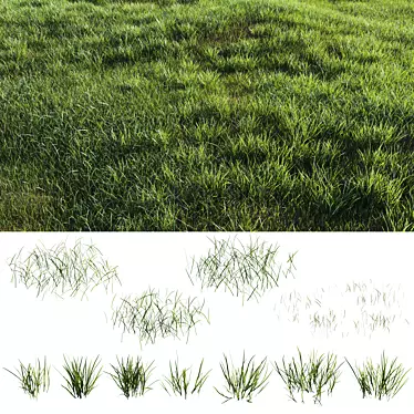 Lush Green Grass-Plot Kit 3D model image 1 