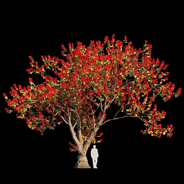 Exquisite Delonix Regia: Flamboyant Tree 3D model image 1 