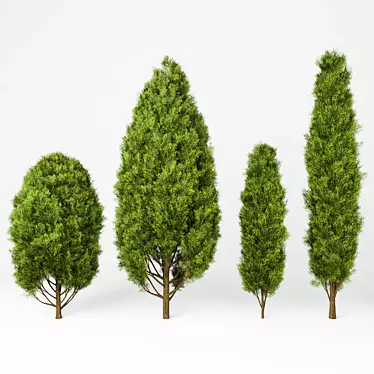 Vibrant Mediterranean Cypress Shrub 3D model image 1 