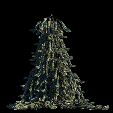 Elegant Weeping Norway Spruce 3D model image 1 