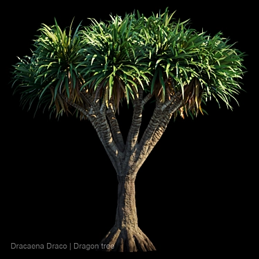 Majestic Draco Dragon Tree 3D model image 1 