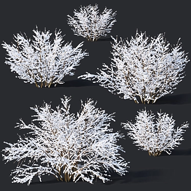 Frozen Forsythia Collection - 7 Sizes 3D model image 1 