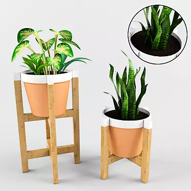 Title: Botanical Trio with Pot & Stand 3D model image 1 