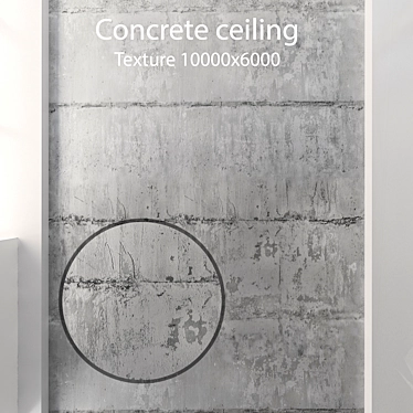 Seamless Concrete Ceiling Texture 3D model image 1 