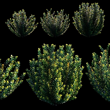 Essential Bush Kit 3D model image 1 