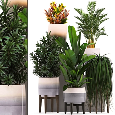 Exotic Plant Collection: Oleander, Howea Forsteriana, Kentia & More! 3D model image 1 