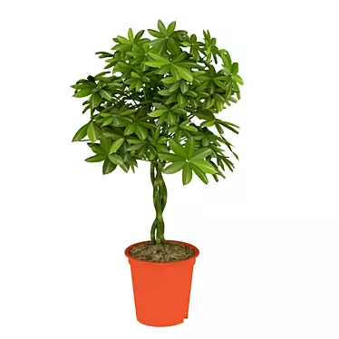 Tropical Greenery: 70cm Schefflera 3D model image 1 