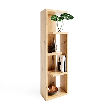 Modern 3D Shelf & Decor 3D model image 1 