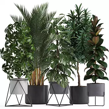 Exotic Indoor Plants: Schefflera, Oleander, Howea, Kentia, Monstera 3D model image 1 