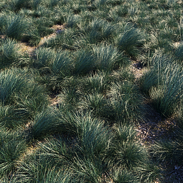 Seascape Grass Kit: Stunning, Low-Maintenance Beauty 3D model image 1 