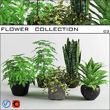3D Flower Collection: Vray & Corona 3D model image 1 