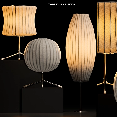 3ds Max Table Lamp Set 3D model image 1 