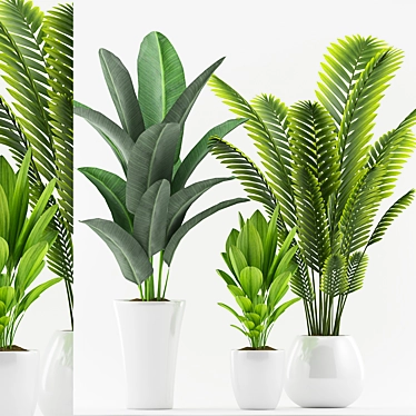 Tropical Plant Trio with Pot 3D model image 1 