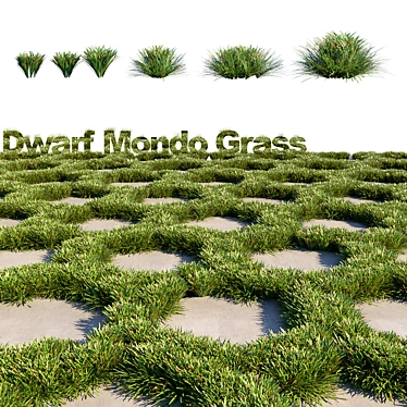 Lush Mondo Grass: Dual Corona Setup 3D model image 1 