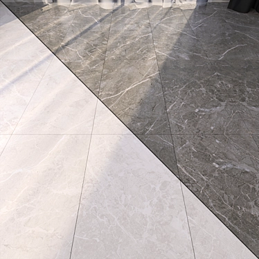 Elegant Marble Floor Collection 3D model image 1 