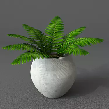 Nature's Charm: Verdant Fern 3D model image 1 