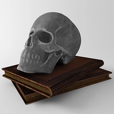 Skull Book Combo 3D model image 1 