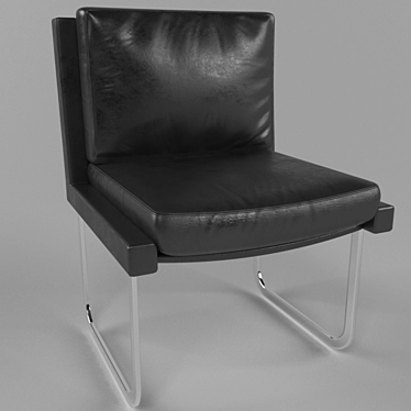 Luxury De Sede Chair: Robert Haussmann Design 3D model image 1 