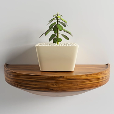 Modern 3D Decor Plant 3D model image 1 