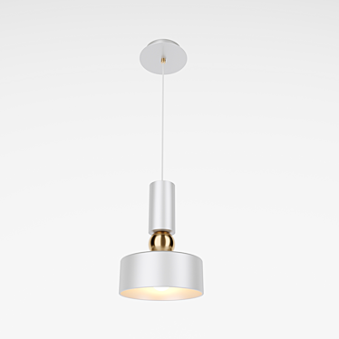 Modern Metal and Acrylic Pendant Light 3D model image 1 