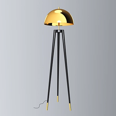 Modern Metal Fife Tripod 3D model image 1 