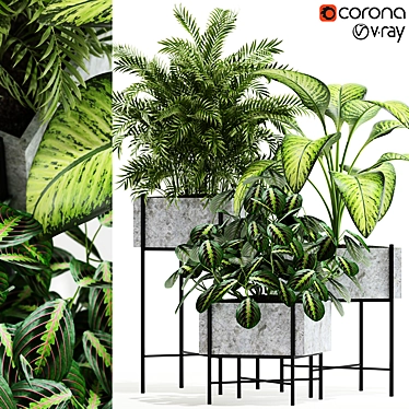 Opalo Plant Collection: Botanical Beauty 3D model image 1 