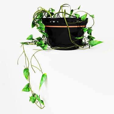 Modern Urban Hanging Ivy 3D model image 1 