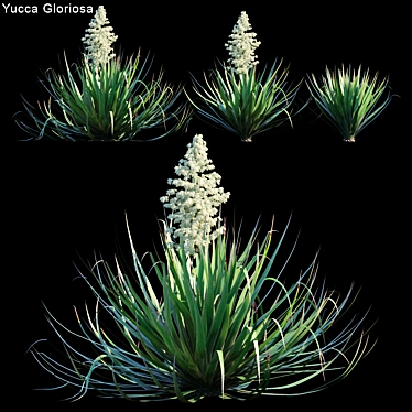 Glorious Yucca: 3 Variations 3D model image 1 