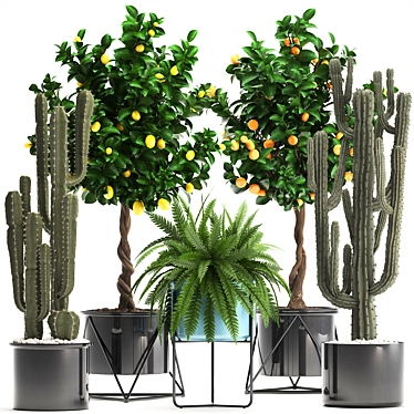 Exotic Plant Collection 3D model image 1 