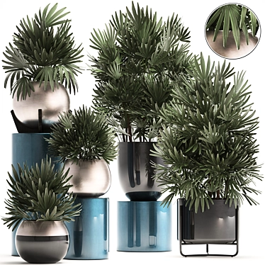 Exotic Palm Plant Collection 3D model image 1 