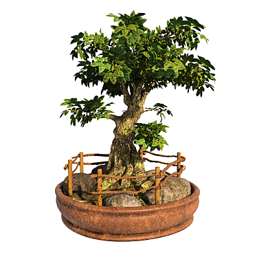 Opulent Opacity Bonsai Tree 3D model image 1 