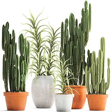 Exotic Cactus Collection: 302 Varieties 3D model image 1 