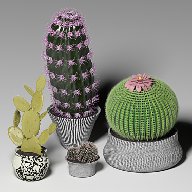 Desert Dreams Cactus Set 3D model image 1 