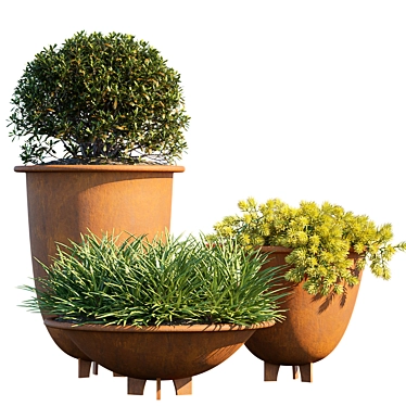 Lush Green Plant #6 in Chic Pots 3D model image 1 