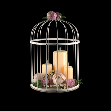 Elegant Decorative Cage 3D model image 1 