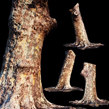 Natural Eucalyptus Trunk: Perfect for Exterior Scenes! 3D model image 1 