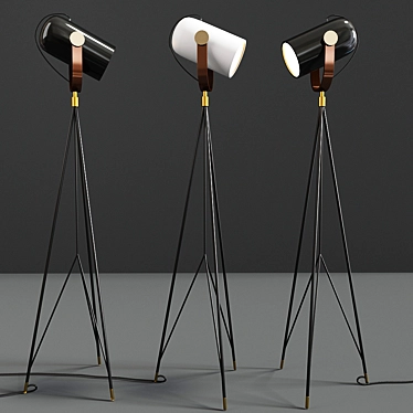 Sleek Carronade 360M Floor Lamp 3D model image 1 