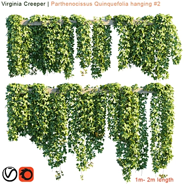 Vibrant Virginia Creeper: Hanging Module 3D model image 1 