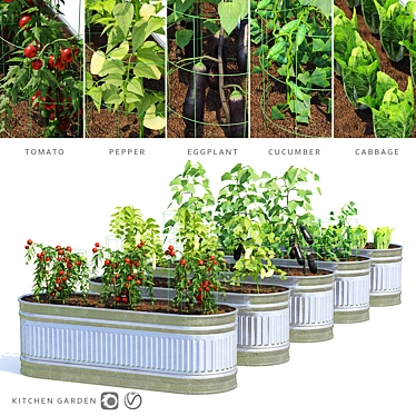 Title: Versatile Vegetable Garden Set 3D model image 1 