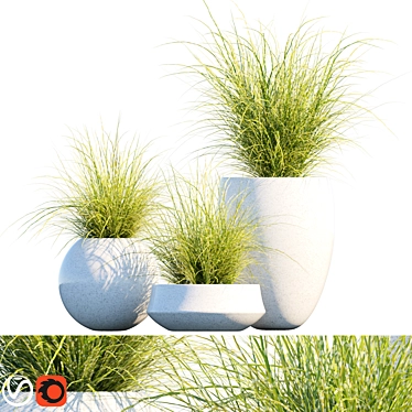 Mood Miscanthus: Potted Elegance 3D model image 1 