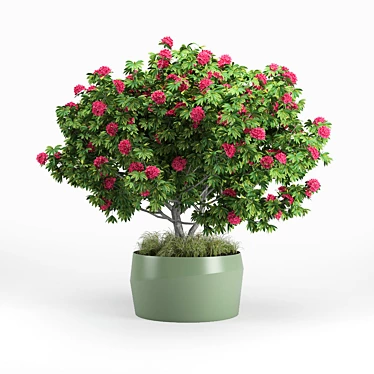 Modern Planterworx Rhododendron 2 3D model image 1 