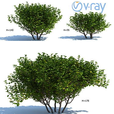 Versatile Exterior Bushes: 3 Models 3D model image 1 