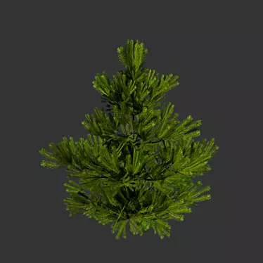  Petite Pine Mantel Shelf 3D model image 1 