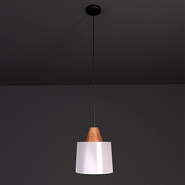 Sleek Satin Pendant Light 3D model image 1 