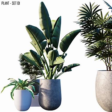 Lush Greenery: 3-Piece Plant Set 3D model image 1 